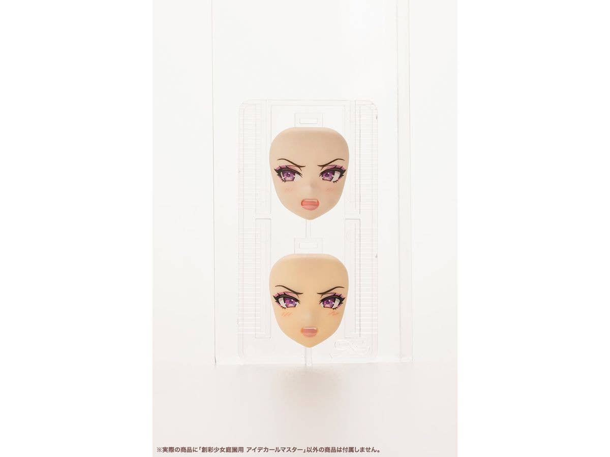EYE DECAL MASTER FOR SOUSAISHOJOTEIEN | 4934054066155