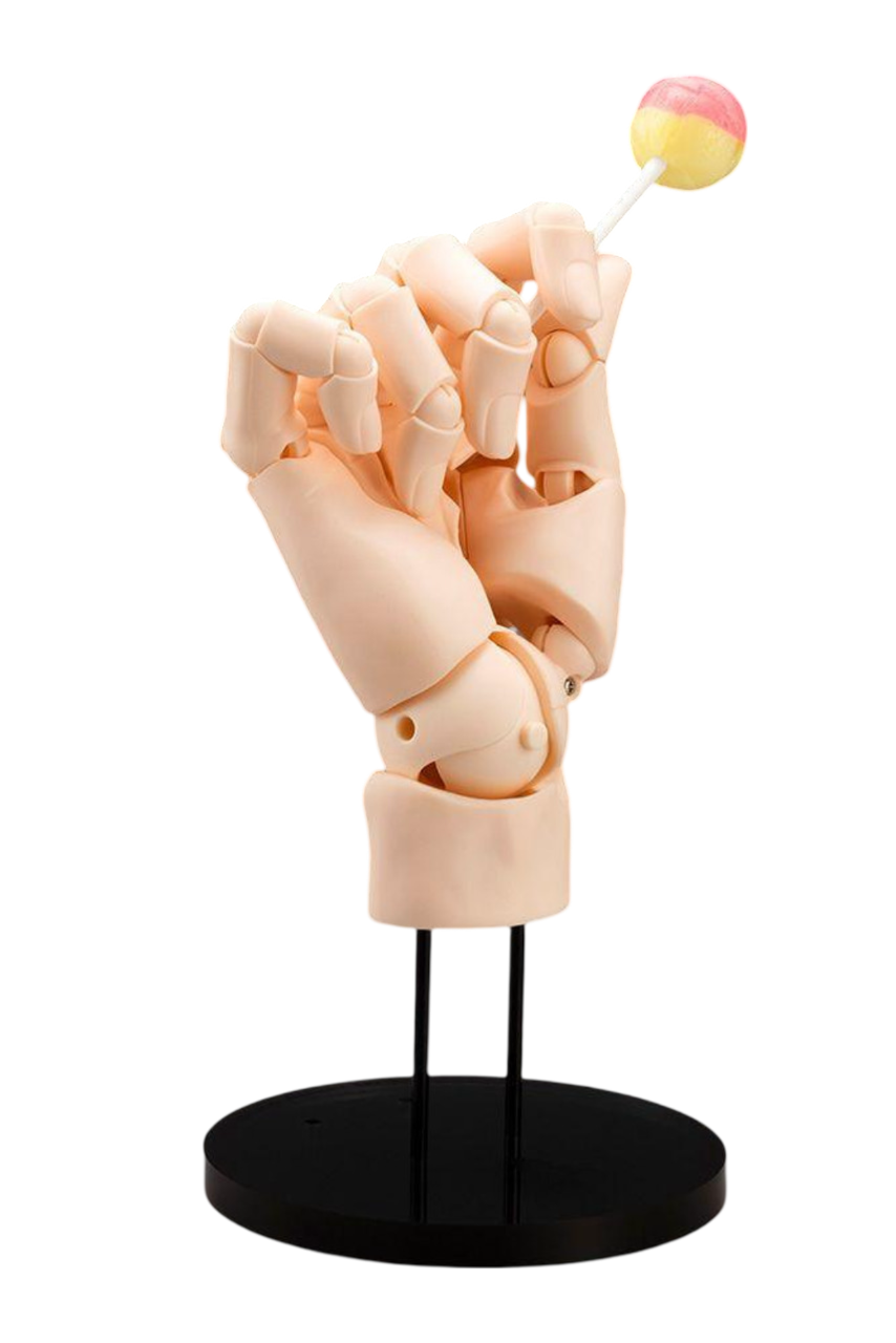 ARTIST SUPPORT ITEM HAND MODEL/R -PALE ORANGE-