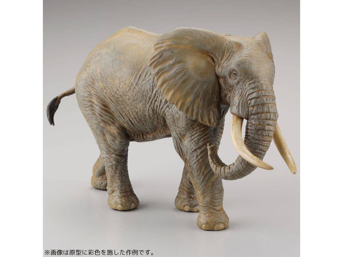 MegaHouse [KAIYODO] [UNPAINTED] ARTPLA Tourist and African Elephant Set (December 2010) | 4537807190161