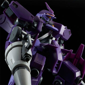 P-Bandai 1/100 Gaelio's Schwalbe Graze