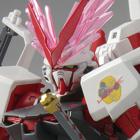 HG 1/144 The Gundam Base Limited Gundam Astray Red Dragon