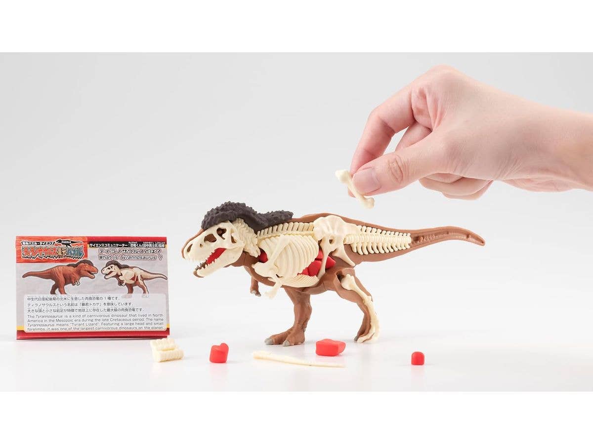 Megahouse Kaitai Puzzle, Tyrannosaurus Puzzle | 4975430516284