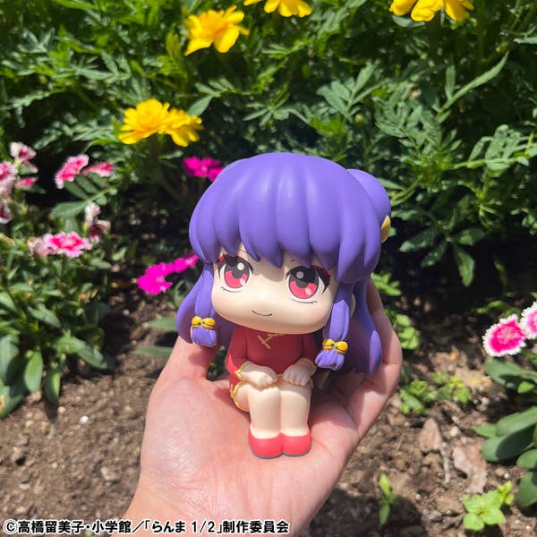Lookup TV Anime Ranma 1ï¼2  Shampoo | 4535123847035