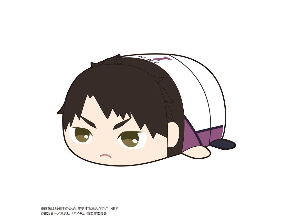 Haikyu POTE KORO MASCOT 2 | 4580683627290