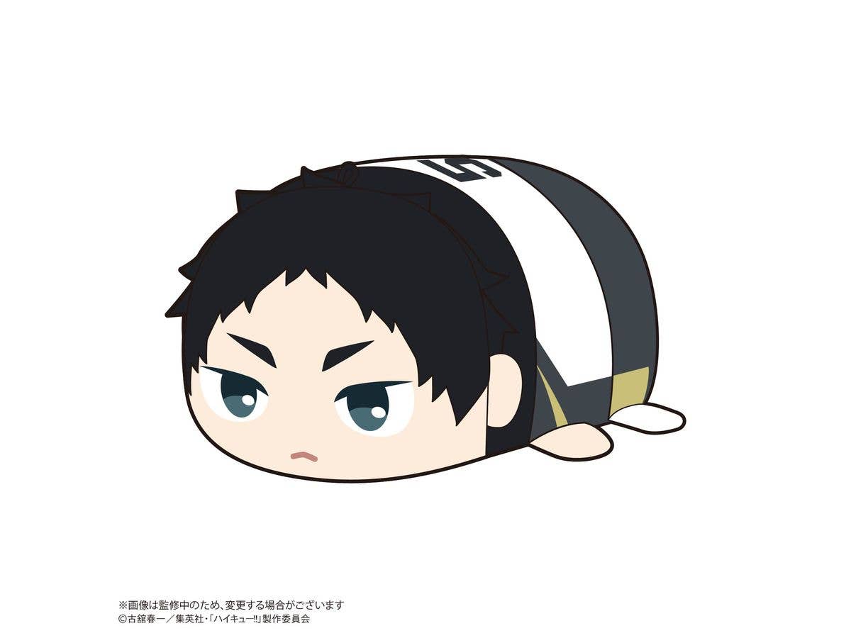 Haikyu POTE KORO MASCOT 2 | 4580683627290