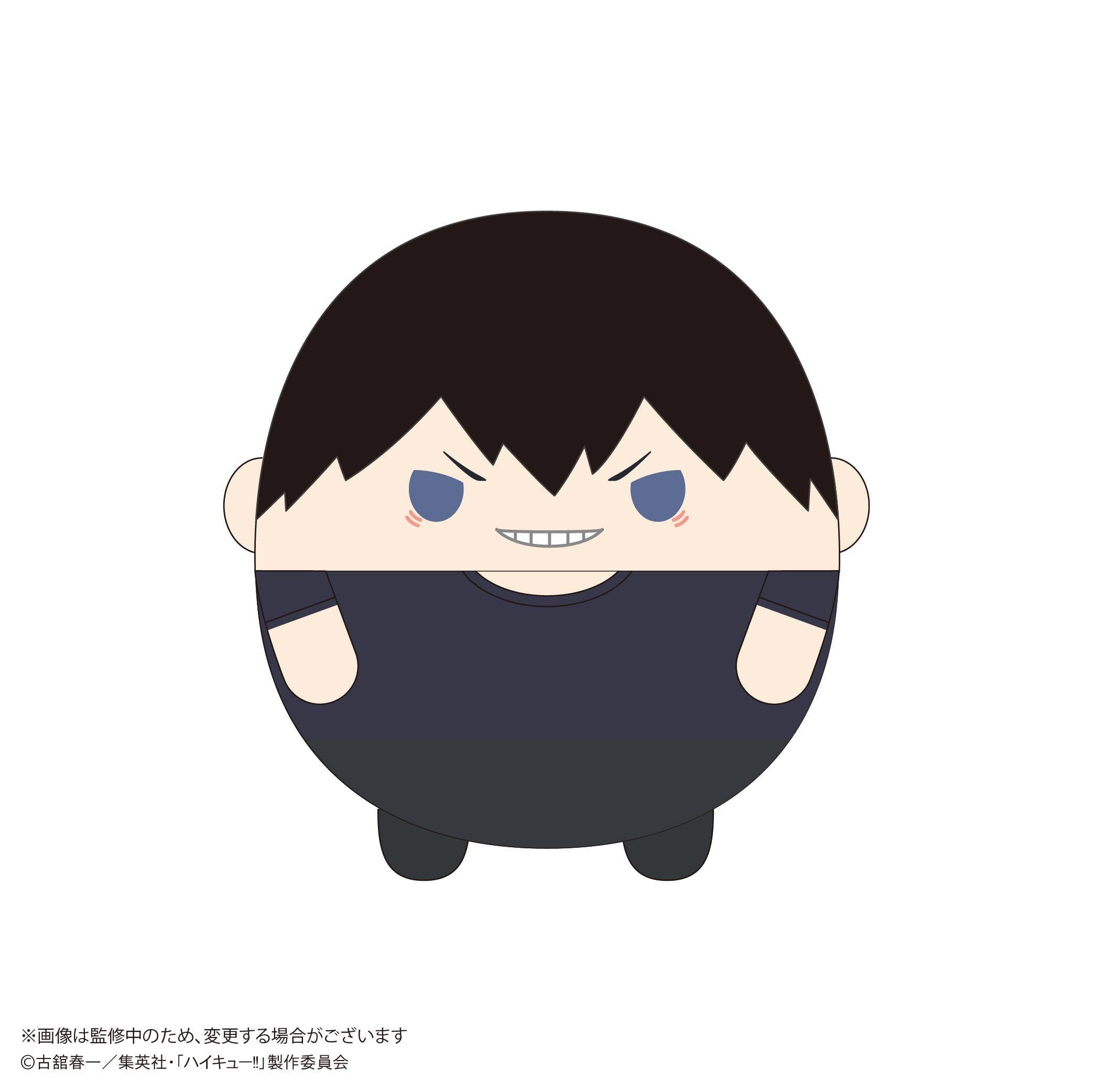 Haikyu FUWA KORORIN BIG 10 (Item A) | 4580683627887