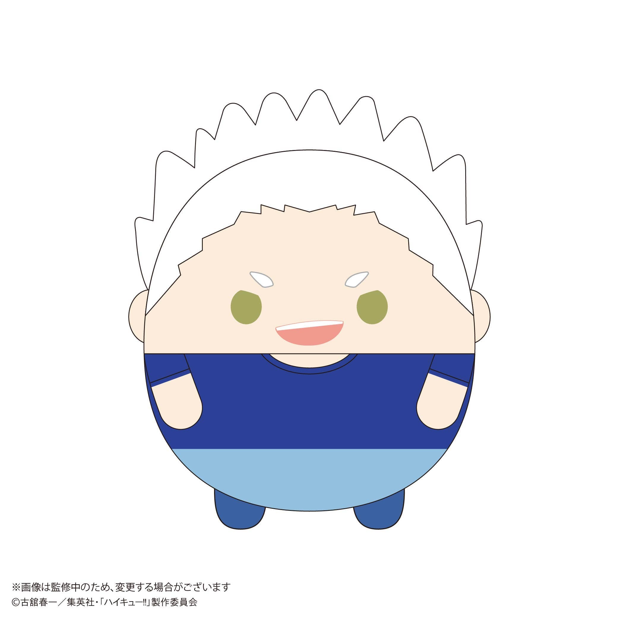 Haikyu FUWA KORORIN BIG 10 (Item C) | 4580683627900