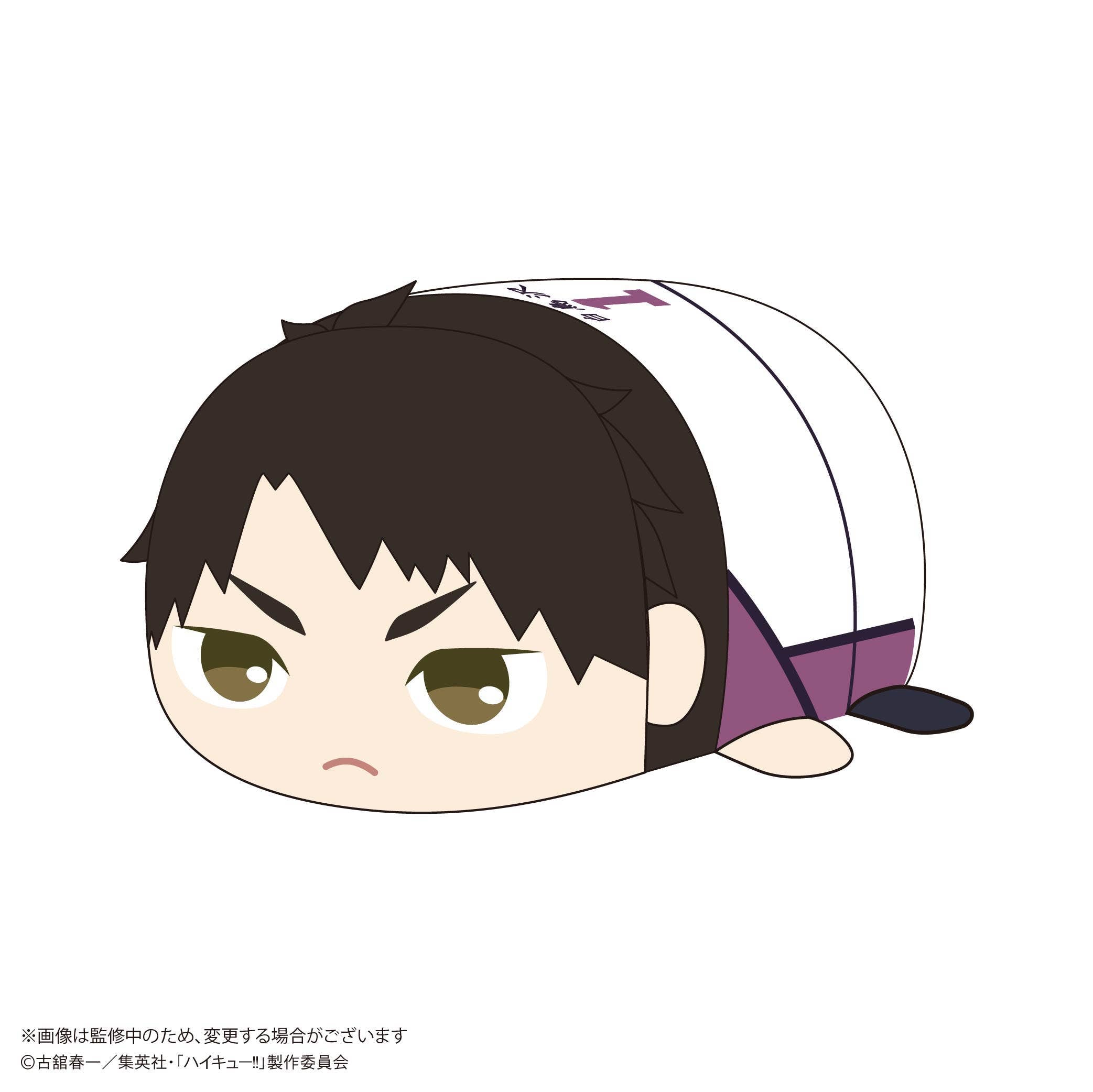 Haikyu POTE KORO MASCOT Msize 2 (Item C) | 4580683627986