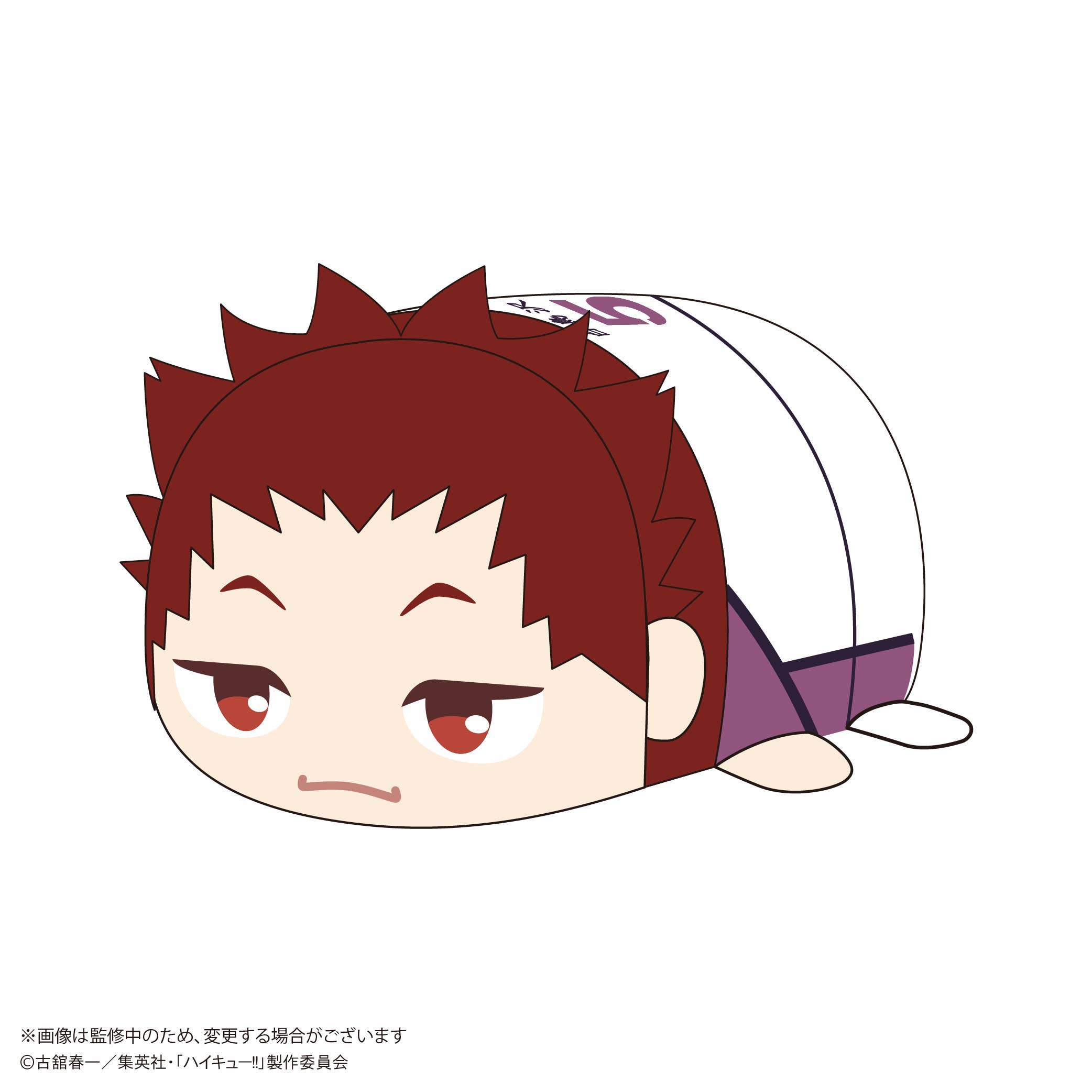 Haikyu POTE KORO MASCOT Msize 2 (Item D) | 4580683627993