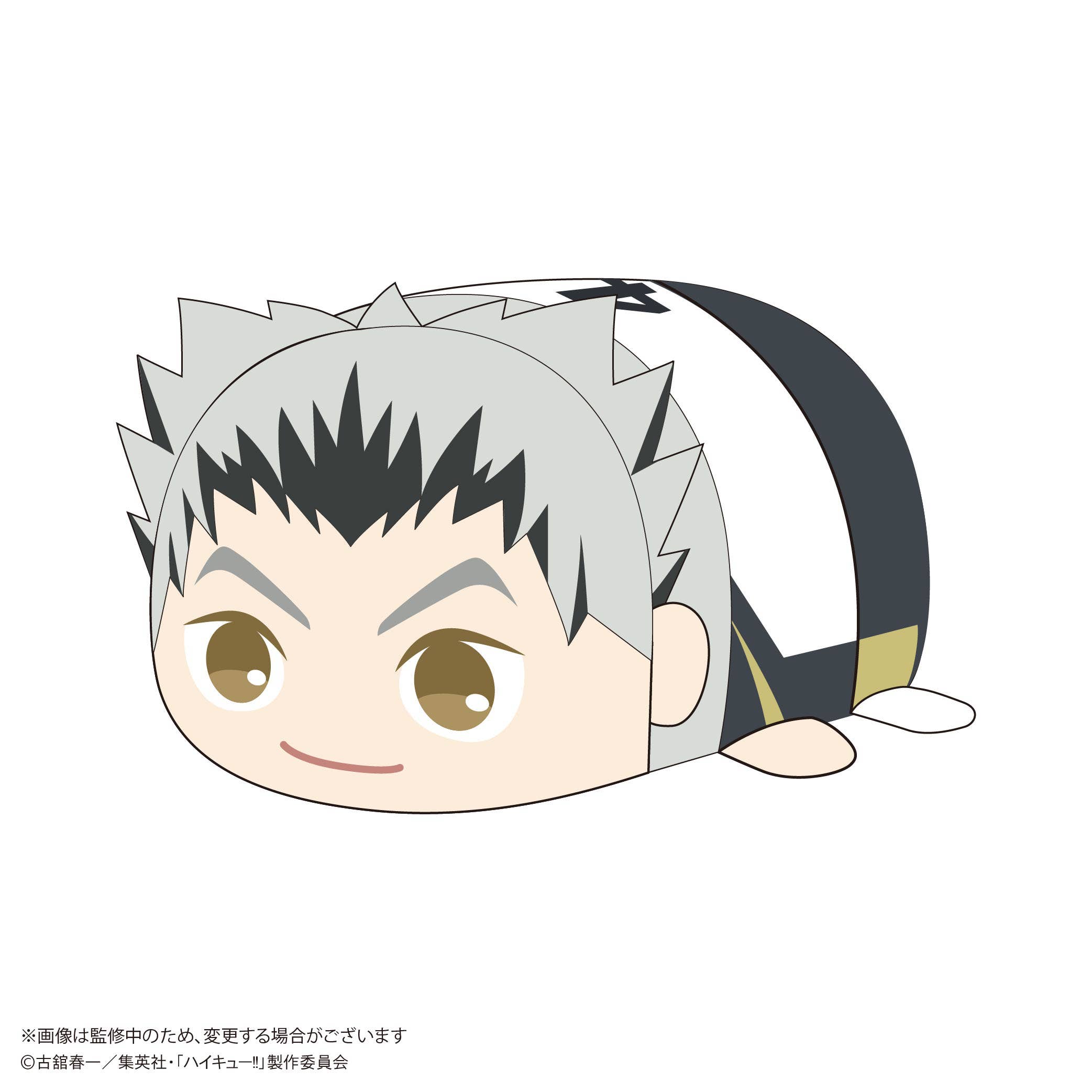 Haikyu POTE KORO MASCOT Msize 2 (Item E) | 4580683628006