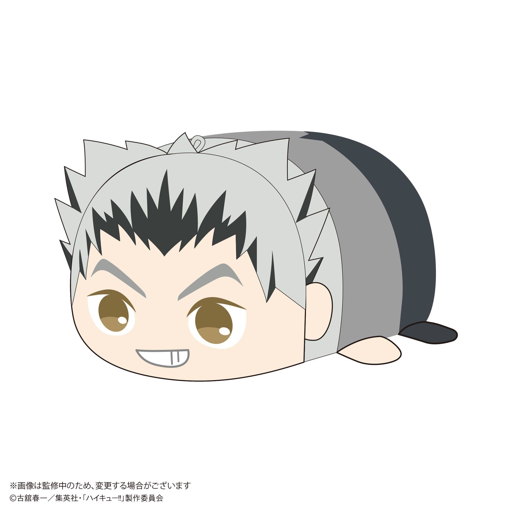 Haikyu POTE KORO MASCOT Msize 2 (Item H) | 4580683628037