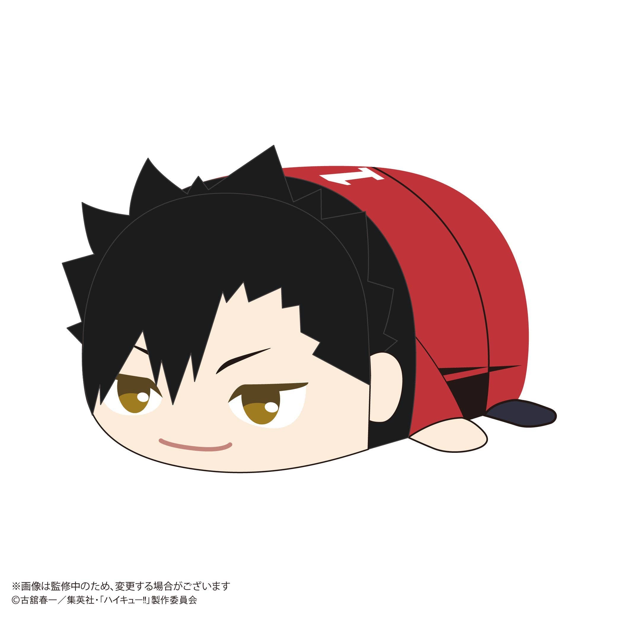 Haikyu POTE KORO MASCOT BIG 2 (Item A) | 4580683628044
