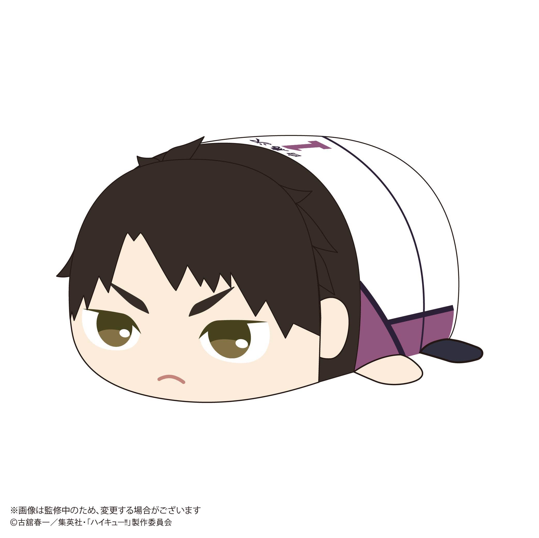Haikyu POTE KORO MASCOT BIG 2 (Item C) | 4580683628068