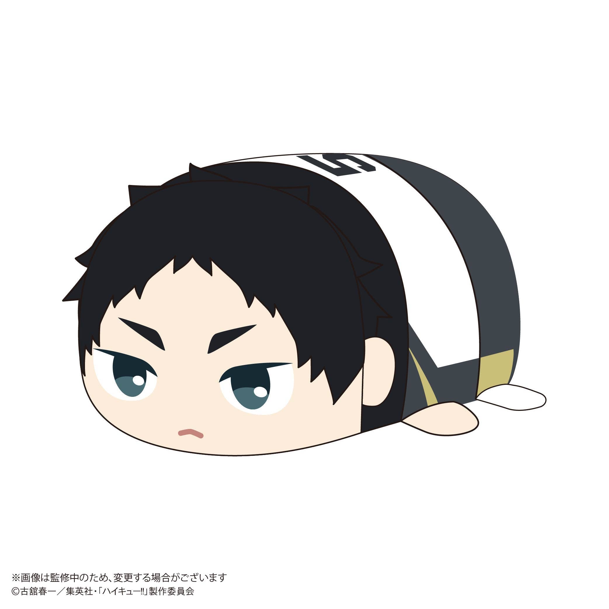 Haikyu POTE KORO MASCOT BIG 2 (Item F) | 4580683628099