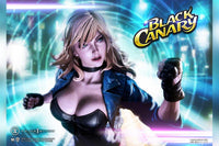 Museum Masterline DC Comics Black Canary
