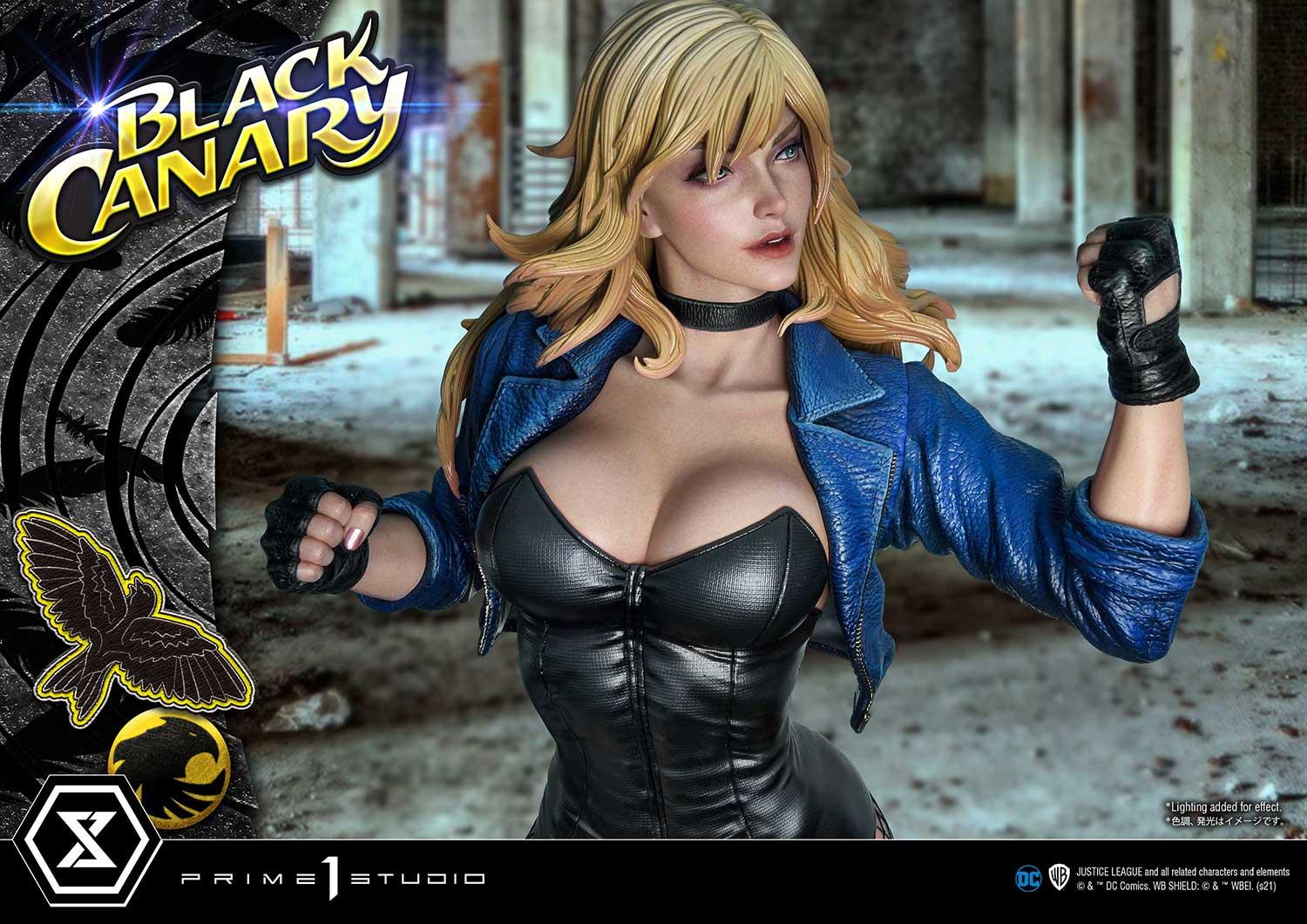 Museum Masterline DC Comics Black Canary EX Version