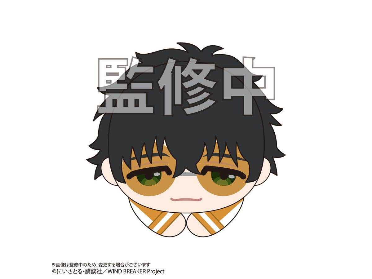 WIND BREAKER HUG CHARACTER COLLECTION 2 | 4580683625586