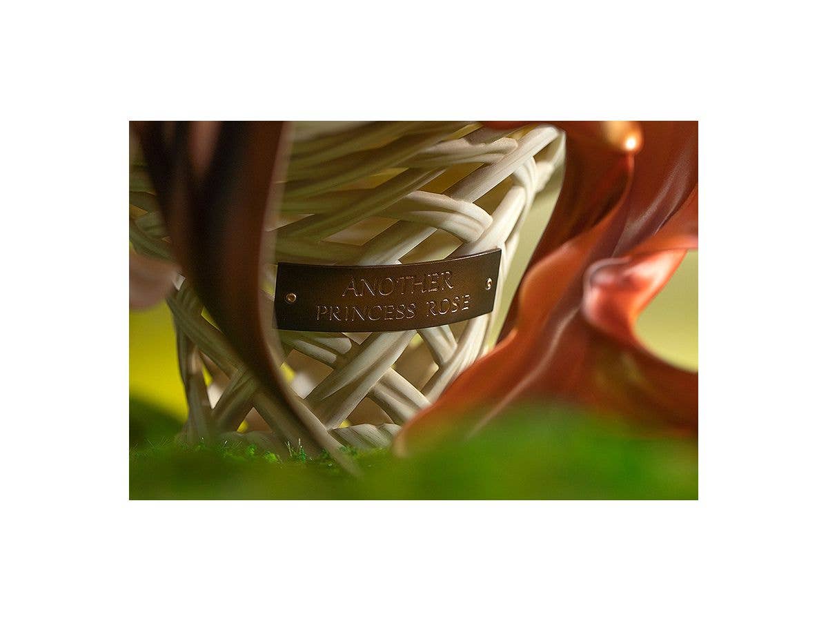 Sleeping Beauty | 4580416923507