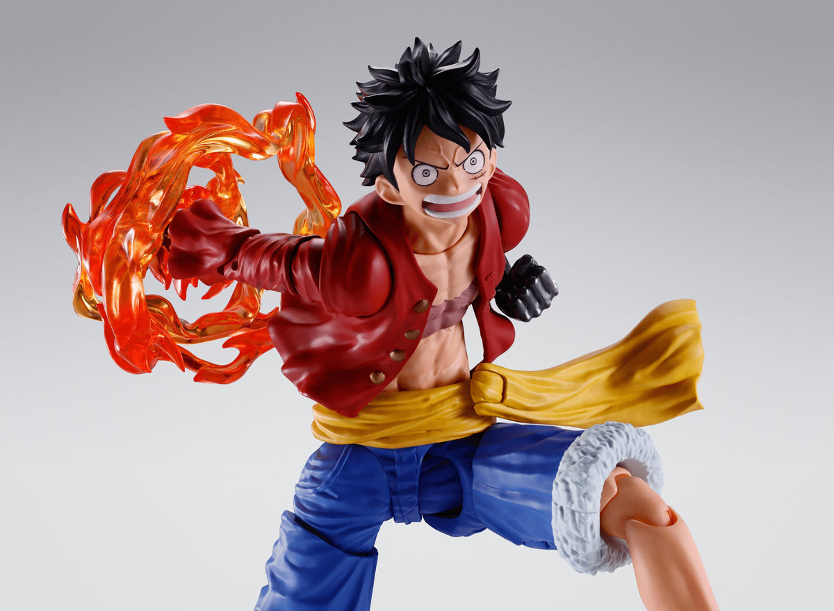 MONKEY.D.LUFFY -TWO YEARS LATER- OPTION PARTS SET