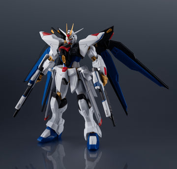 ZGMF-X20A STRIKE FREEDOM GUNDAM RENEWAL