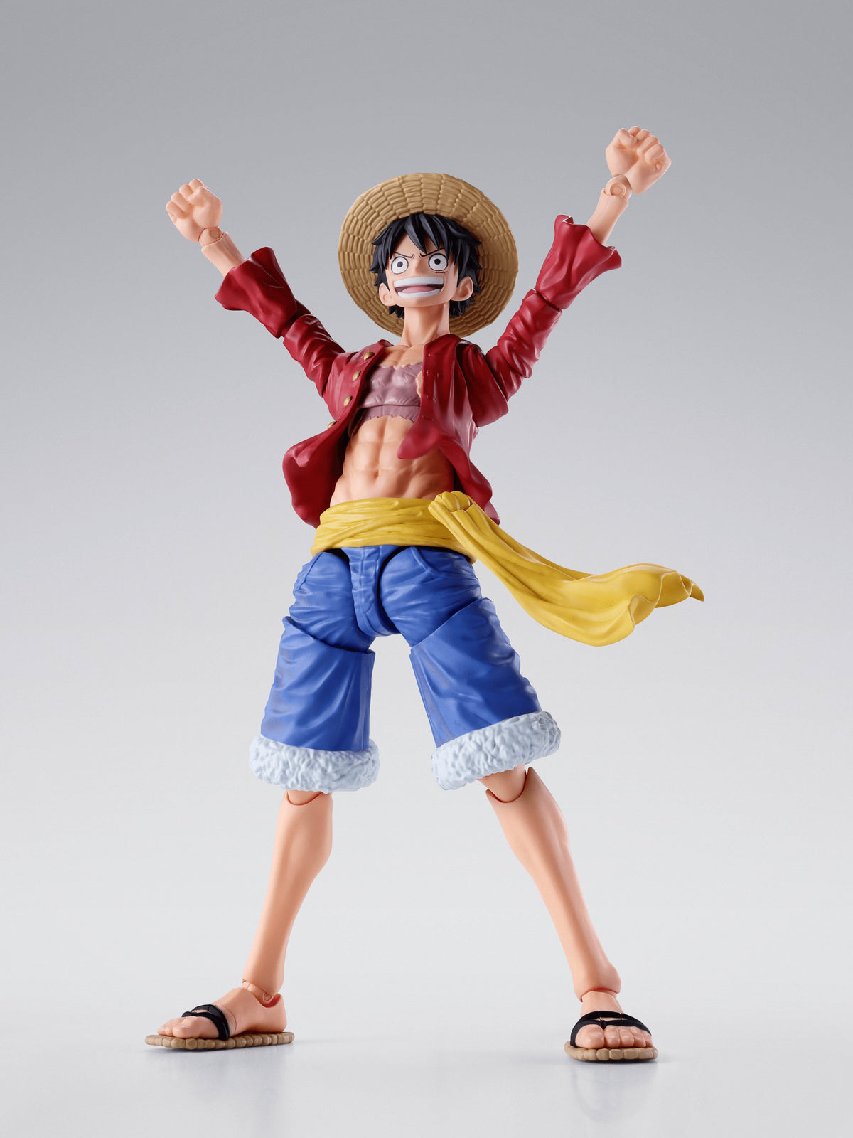 MONKEY.D.LUFFY -TWO YEARS LATER-