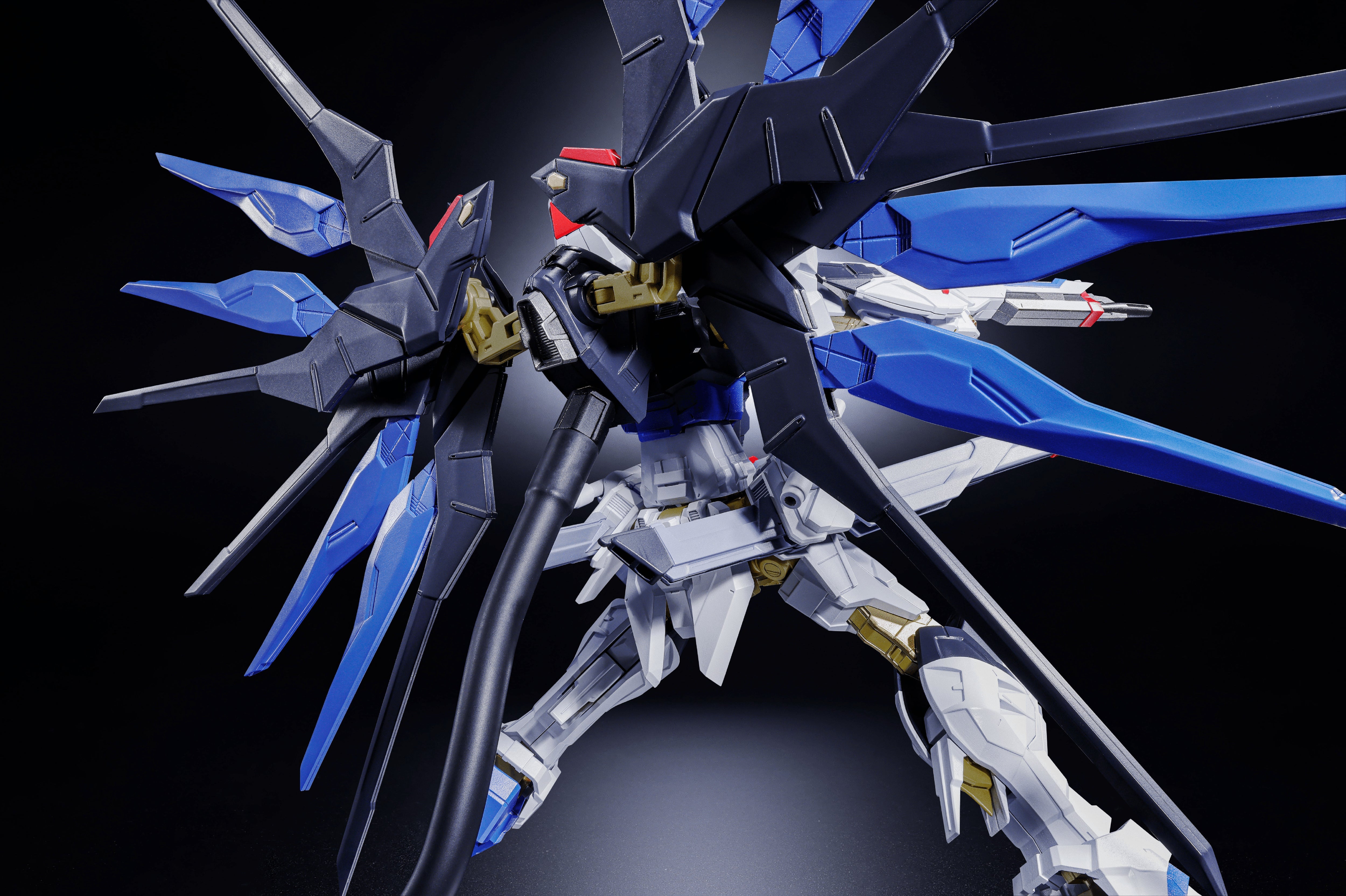STRIKE FREEDOM GUNDAM (ABSOLUTE ACT)