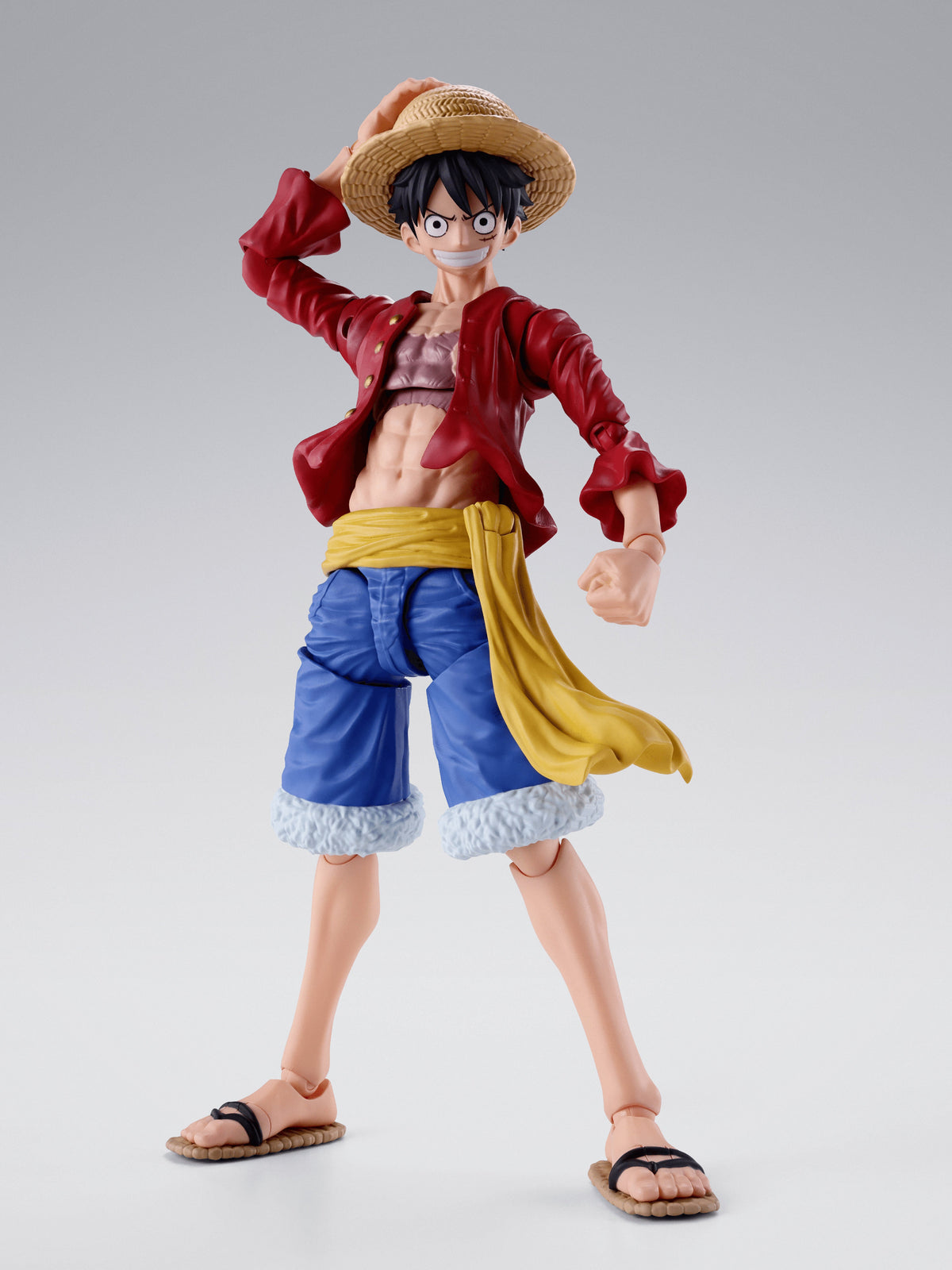 MONKEY.D.LUFFY -TWO YEARS LATER-