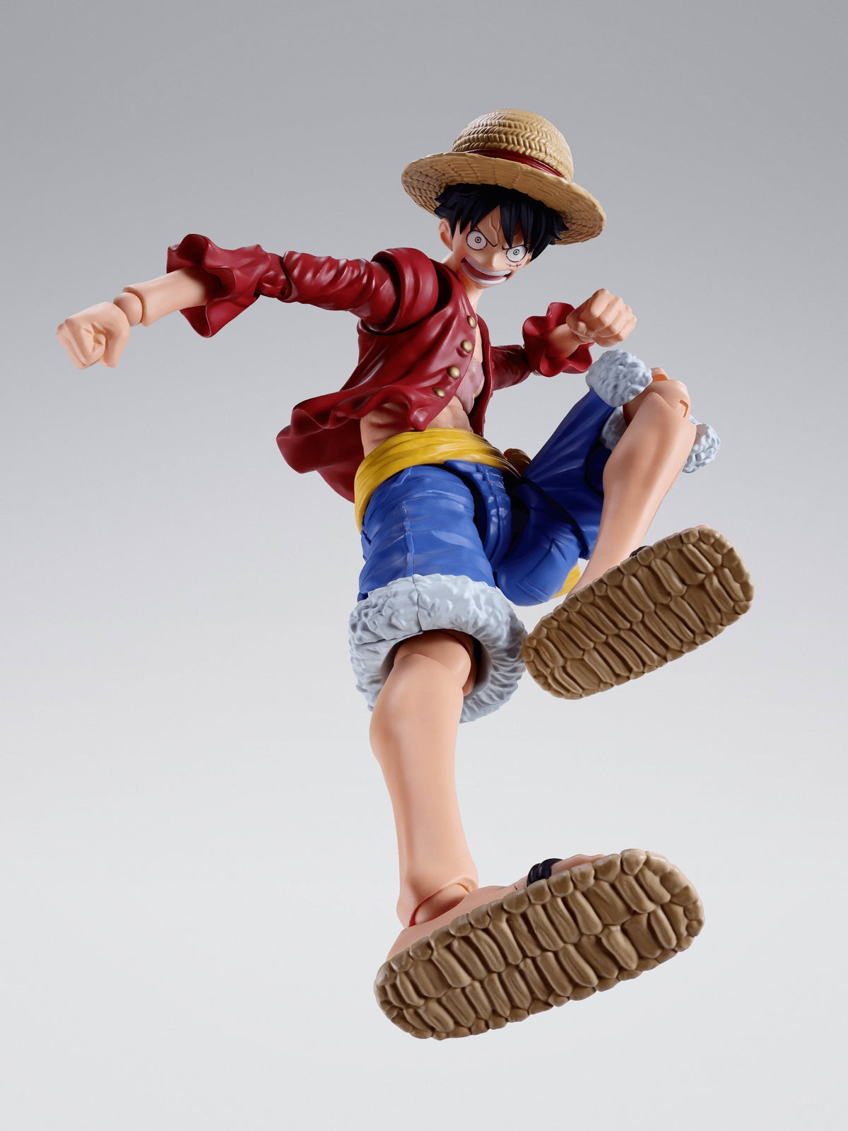 MONKEY.D.LUFFY -TWO YEARS LATER-