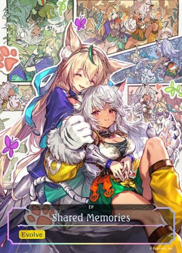 SHADOWVERSE: EVOLVE COMBINED SET WORLDREAVER'S DESCENT & DOMINION OF DARKNESS | 8885021121604