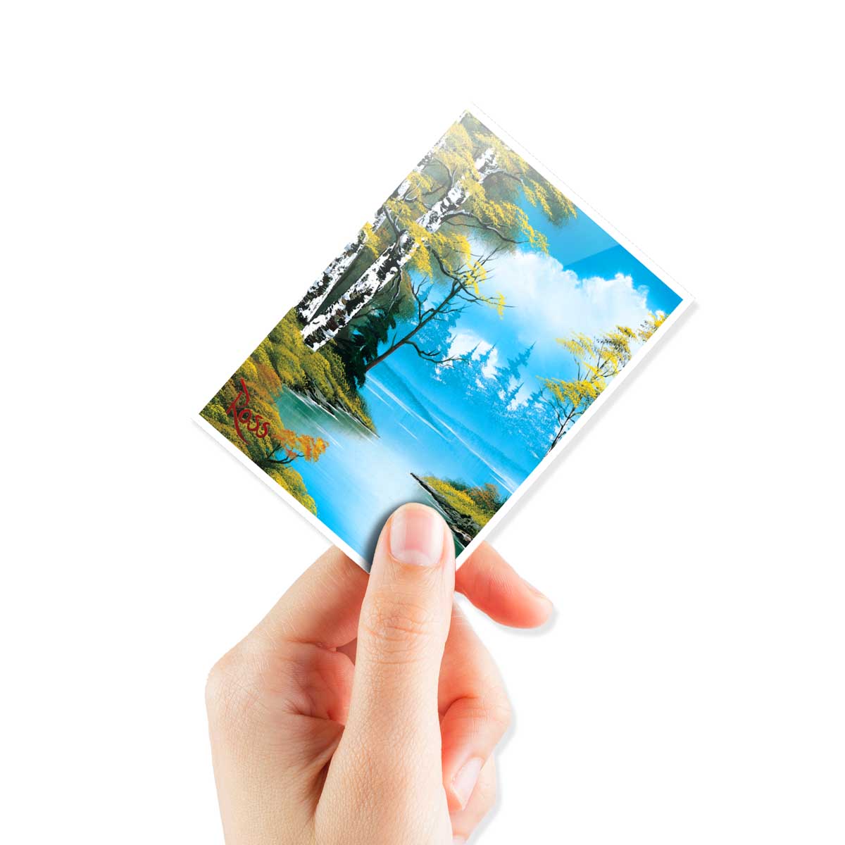 UP D-PRO APEX BOB ROSS LAKESIDE PATH 105CT | 074427165260