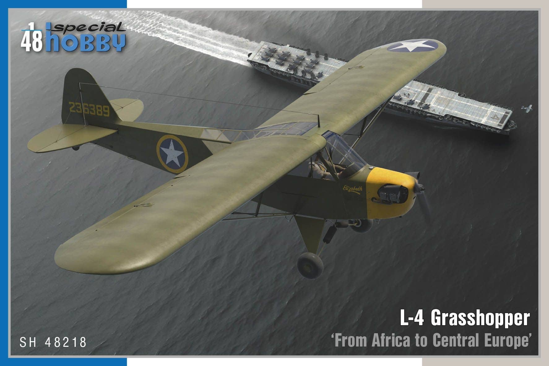 Special Hobby 1/48 L-4 Grasshopper ‘From Africa To Central Europe’ | 8594071088620