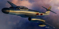 Sword Models 1/48 Meteor NF.14, Aircraft | 8596444480116