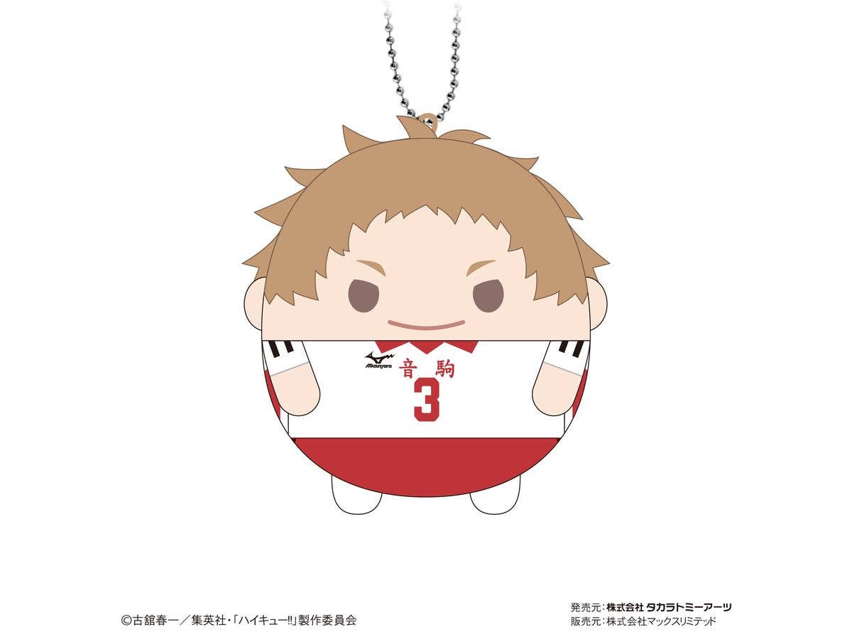 Piapro.net MAX HAIKYUU FUWA KORORIN 8 | 4580683618014