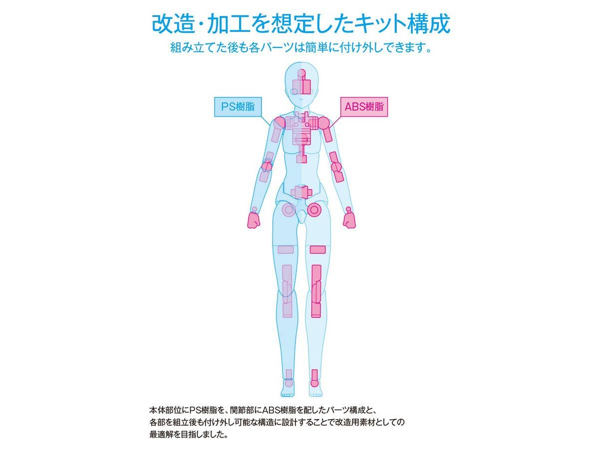 Wave 1/12 Moovable Body DX Light Brown Figure Kit | 4943209280254