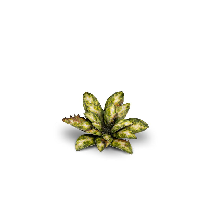 Gamers Grass Static Tuft Laser Plants - Dumb Cane | 738956790019