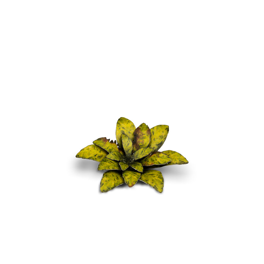 Gamers Grass Static Tuft Laser Plants - Dumb Cane | 738956790019
