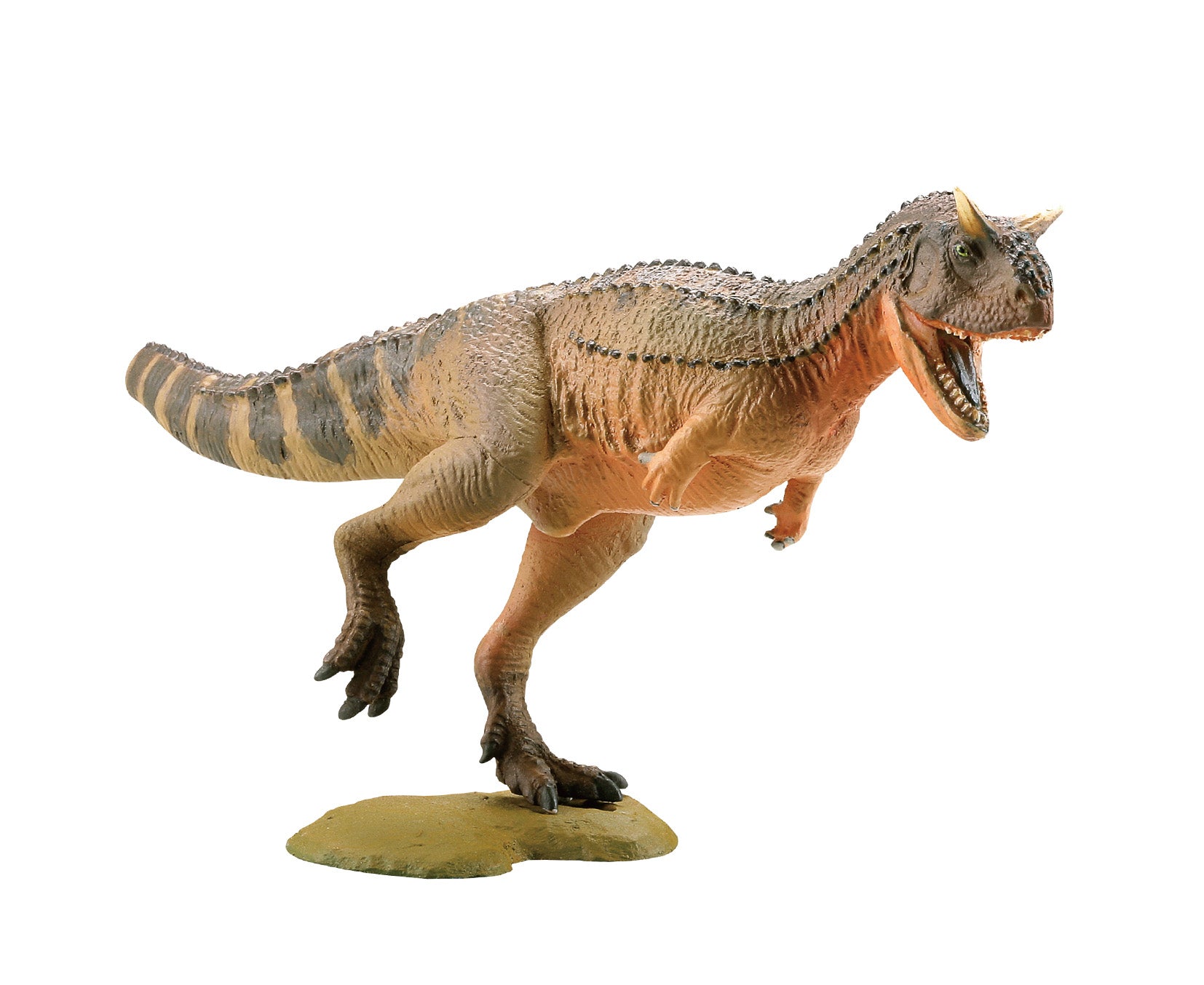 F-Toys Dinosaur Master, 10-Pack Box with all 5 Varieties x 2 | 4582138606232