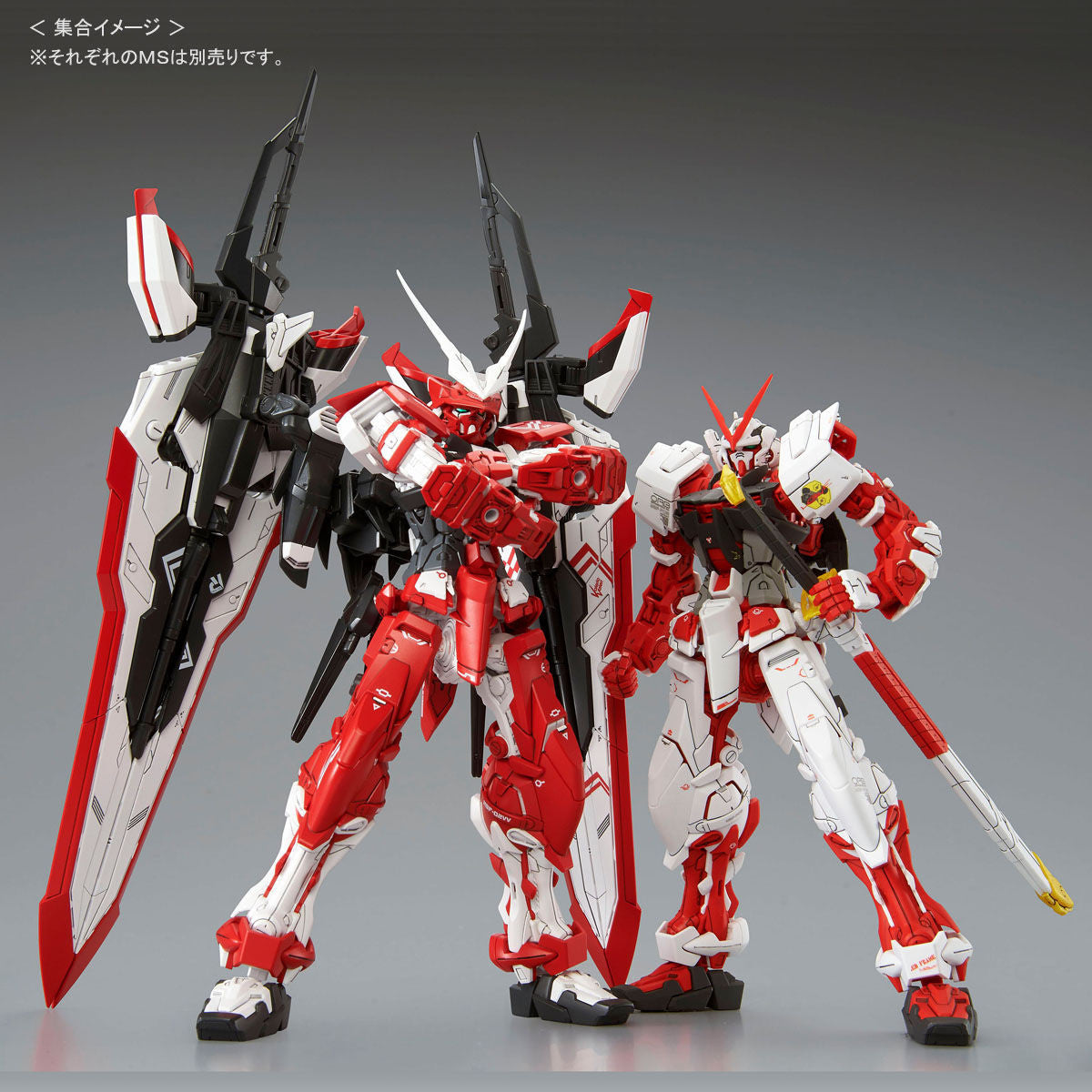 Bandai Gundam Astray Turn Red 'Gundam SEED VS Astray', Bandai MG 1/100 | 4549660248095