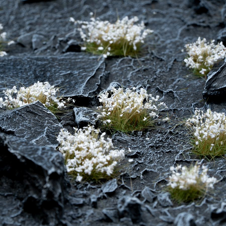 Gamers Grass White Flowers - Wild | 738956789884