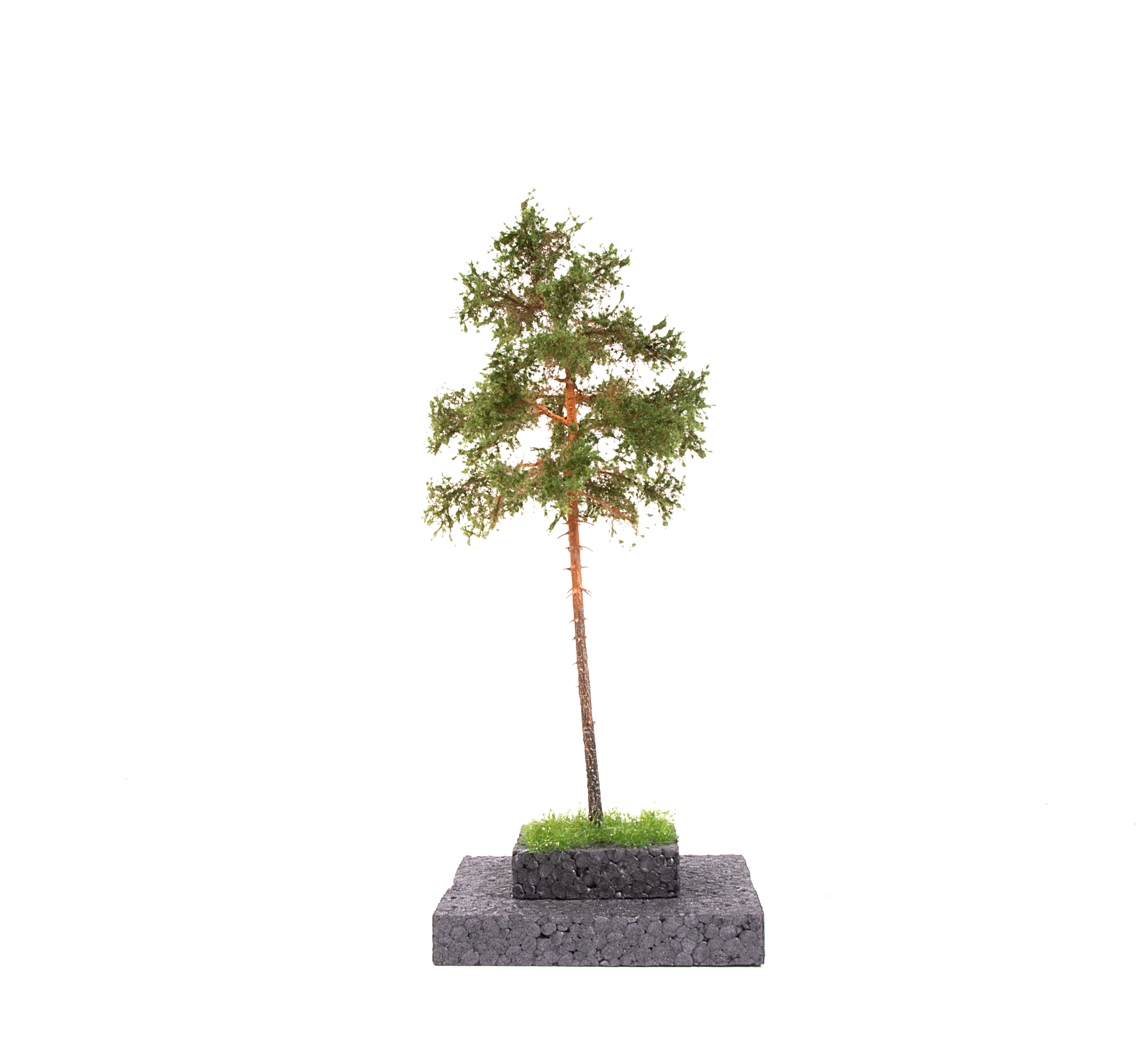 AK Interactive Pine Tree 1/72 [Sale ends when item is out of stock] | 8435568311503