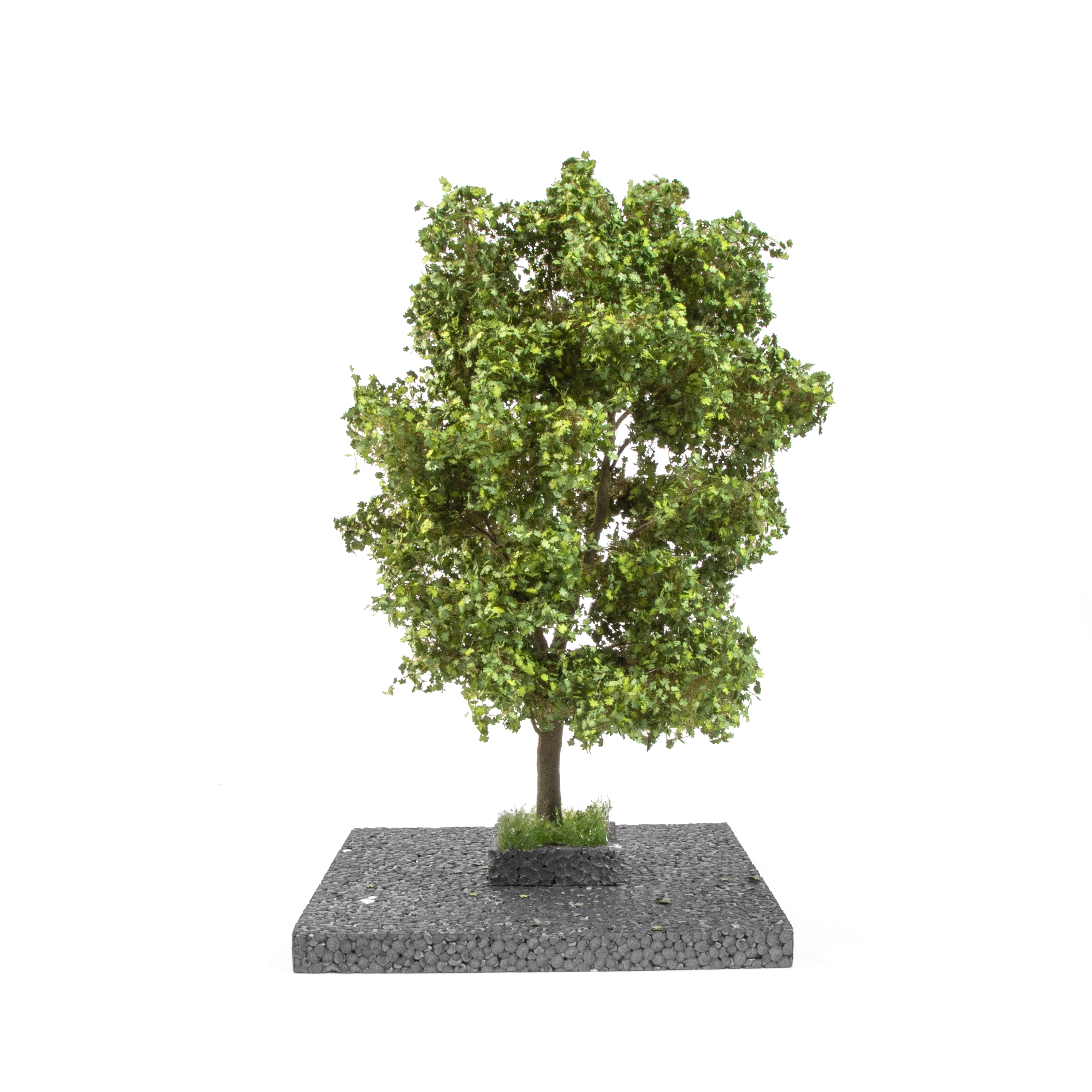 AK Interactive Maple Tree 1/35 | 8435568311626