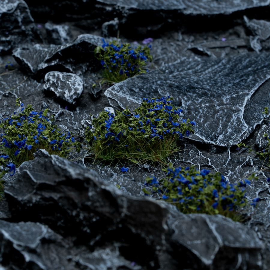 Gamers Grass Blue Flowers - Wild | 738956789914