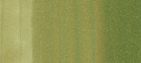 Copic Sketch Marker Greens, Willow G24 | 4511338007143