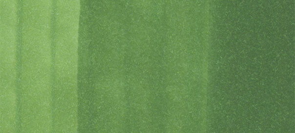 Copic Ciao Marker Yellow Greens, Moss YG67 | 4511338007877