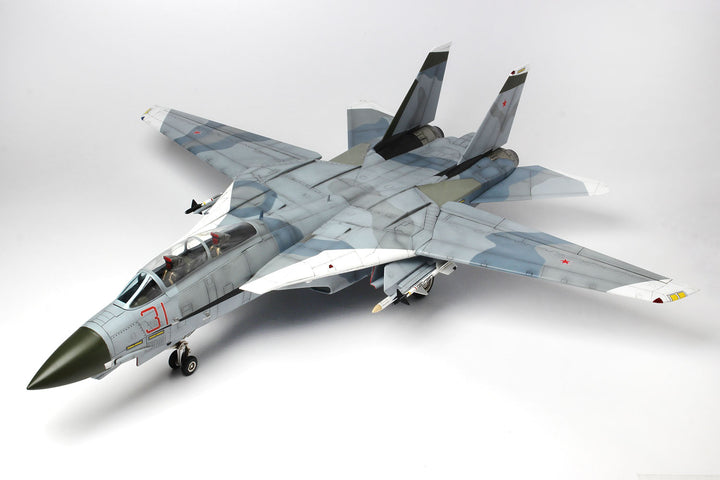 Platz x Italeri 1/48 F-14A TOMCAT UNITED STATES NAVY FIGHTER WEAPONS SCHOOL 'TOP GUN' | 4545782075724