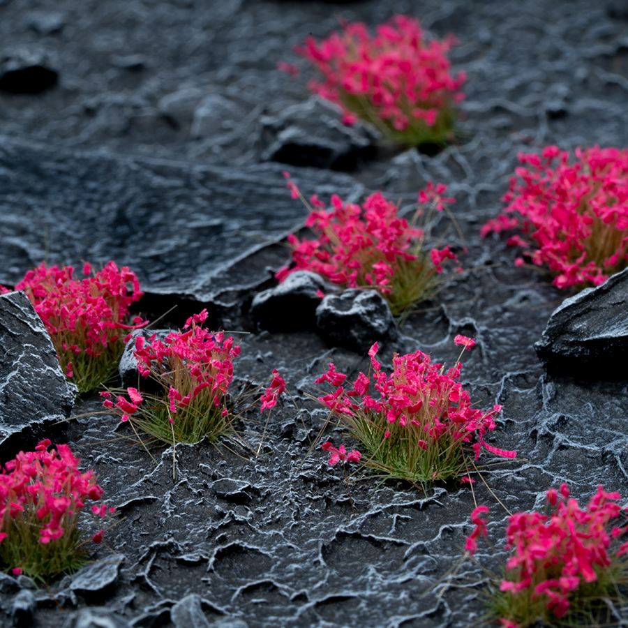 Gamers Grass Pink Flowers - Wild | 738956789938