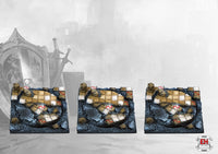 Elrik's Hobbies: Celtic Ruins Bases - Cavalry (PBW8502) | 5213009014175