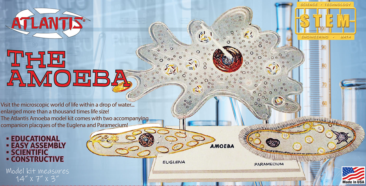 Atlantis Amoeba Single Cell Model Kit STEM | 850002740899