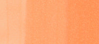 Copic Sketch Marker Earths, Fruit Pink E02 | 4511338002865