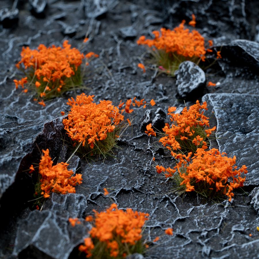 Gamers Grass Orange Flowers - Wild | 738956789945